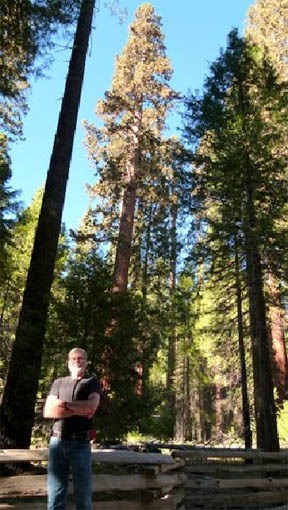 [Ron-in-Mariposa-Big-Trees-Yosemite.jpg]