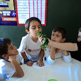 DSC03432.JPG