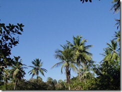 IMG_0116 IMG_0116
