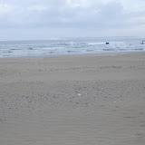 morning fishing to bronzy 012.JPG