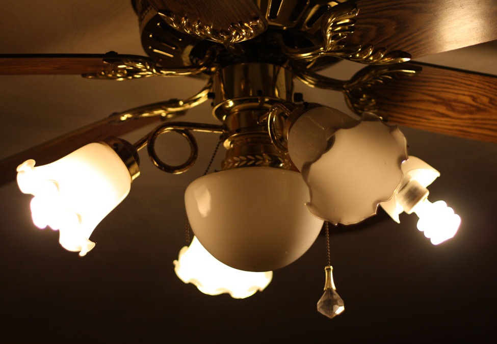 [olivia-and-light-09700977.jpg]