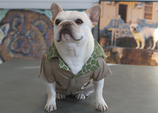 Will you just look at this sporting Safari Shirt?