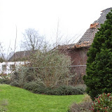IMG_5980.JPG