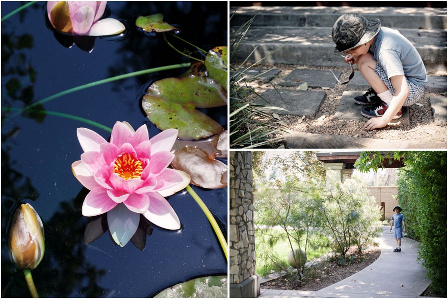 [Arboretum%2520collage1%255B5%255D.jpg]