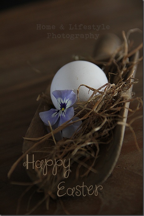 Home & Lifestyle Home & Lifestyle