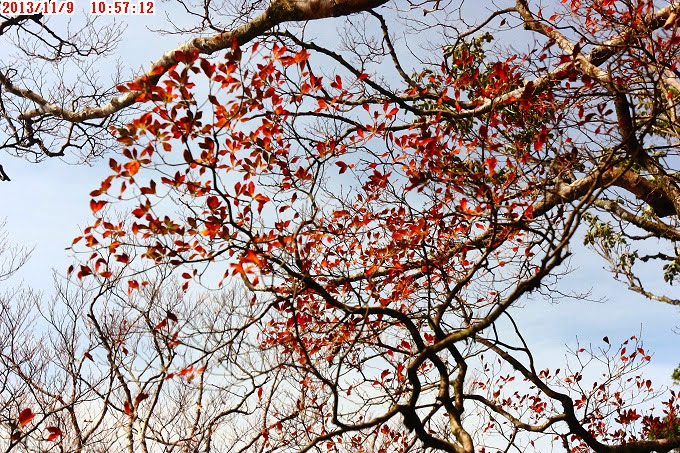 2013_1109_105712 2013_1109_105712