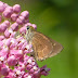 P1120336