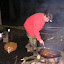 Ducha Mažiarec 2010