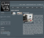 Website tela 2