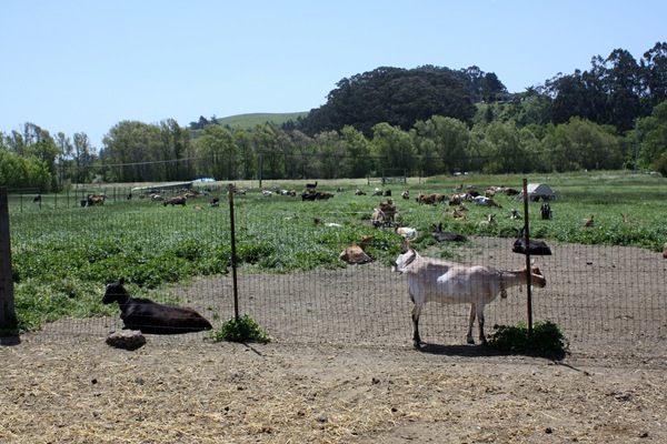 IMG_8320 IMG_8320