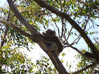 P1020109.JPG
