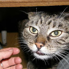 PC200933.JPG