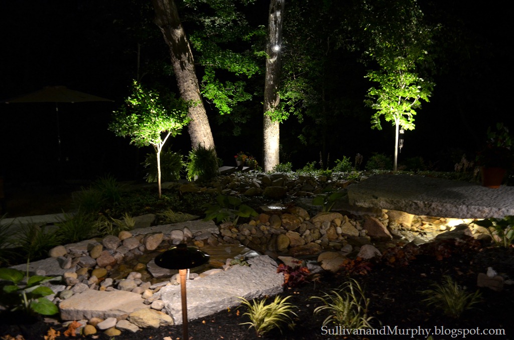 [sycamores%2520at%2520night%252C%2520streambed%255B10%255D.jpg]