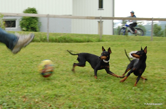 [DSC_7387%255B3%255D.jpg]