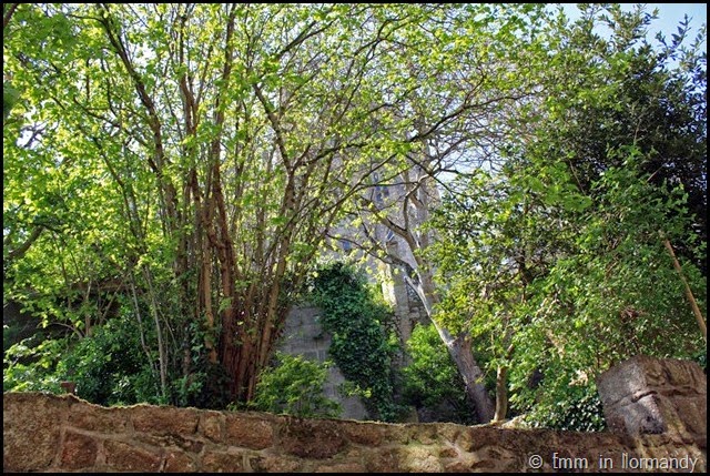 Mont St Michel (8)