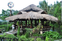 pinoyecofarm penalosa farms_0011.JPG