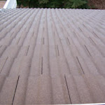 Lower%20Back%20Side%20After.jpg