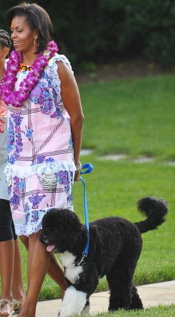 [michelle-obama-and-tracy-feith-spirit-dress-gallery.jpg]