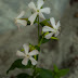 P7102457