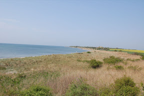 DSC_0020.JPG