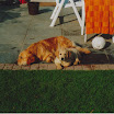 1991 (3).jpg