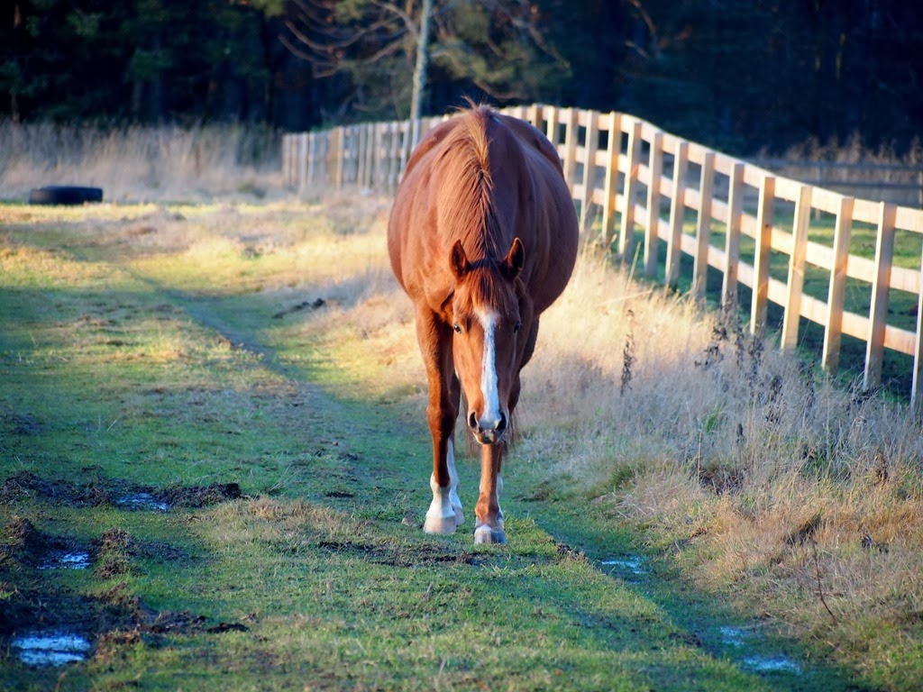 [4%2520Dec%25201%255B3%255D.jpg]