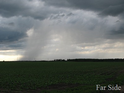 IMG_2167 IMG_2167