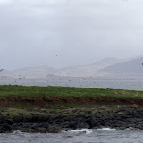 [Group 1]-IMG_8699_IMG_8700-2 images.jpg