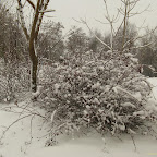 2012-02-02.jpg