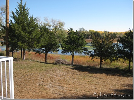 Cedar trees Fall Kansas