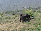 DSC00090.JPG