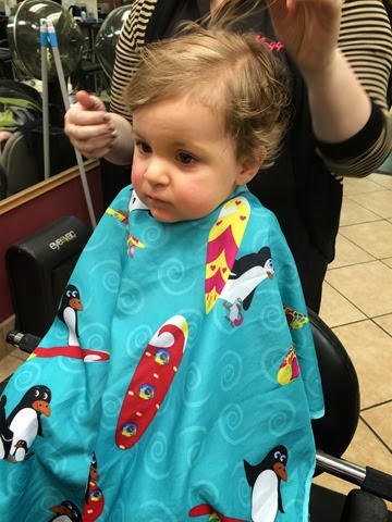 [IMG_1495%255B2%255D.jpg]