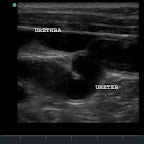 10.37.54 hrs __[0000986].jpg