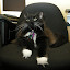 DSCN8631.jpg DSCN8631.jpg