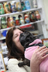 Thank you so much, Ann, you're very sweet, also.  But now I see that you don't carry any dog toys.