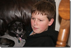 parker dog2