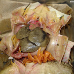 dissect26.jpg