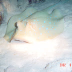 DSC00146.JPG