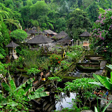 Ubud