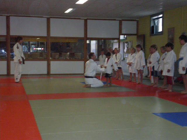 Judo - 3 juli 2009: Foto