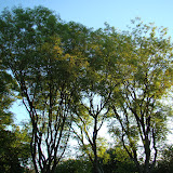 DSC00421.JPG