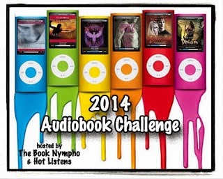 [2014-Audio-Challenge3.jpg]