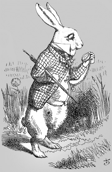 Wikipedia Rabbit Alice_par_John_Tenniel_02