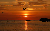 DSC_2526-edit.JPG