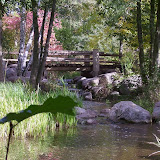britzer garten Berliner Bilder