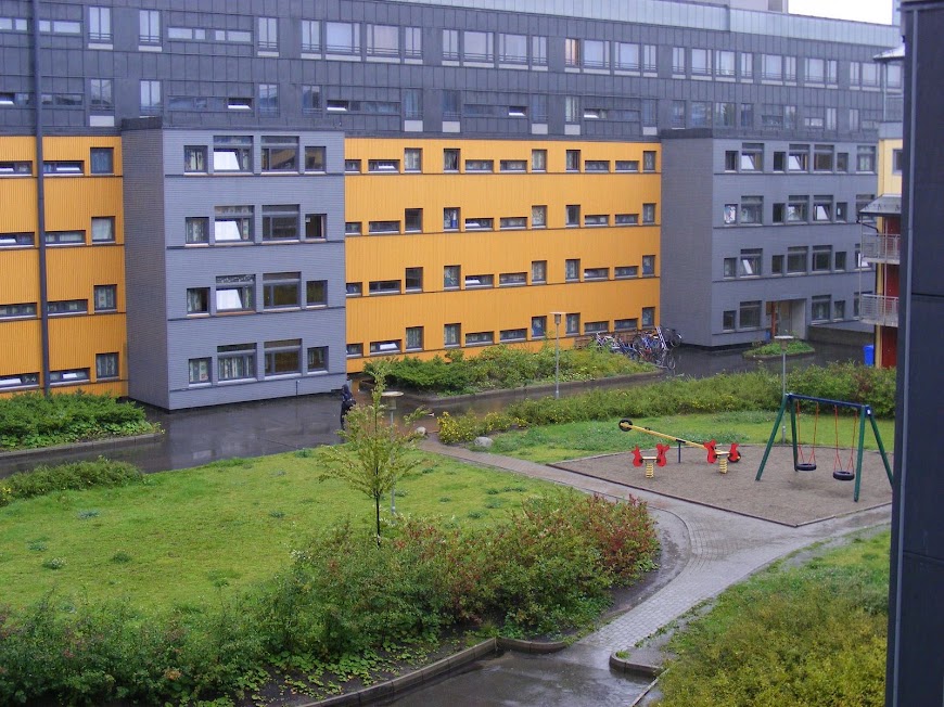 DSCF6604.JPG