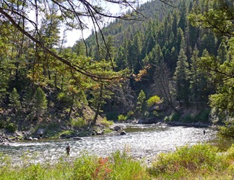 Salmon River Near Stanley