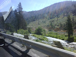 IMG00017-20090726-1021.jpg