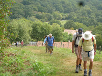 On the trail