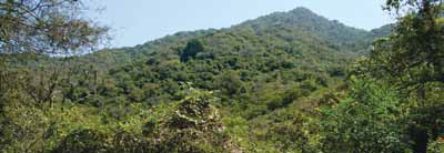 [image11.png]